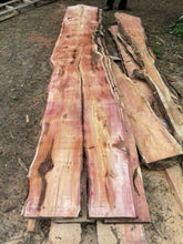 Load image into Gallery viewer, English Yew Waney Edge Boards 40mm thick