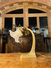 Load image into Gallery viewer, Antique Art Nouveau Bronze Bankers Desk Lamp, Early 20th C, (Pair Available)