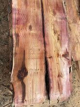 Load image into Gallery viewer, English Yew Waney Edge Boards 40mm thick