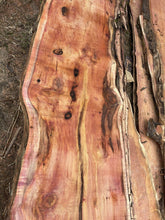 Load image into Gallery viewer, English Yew Waney Edge Boards 40mm thick