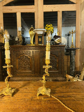 Load image into Gallery viewer, Antique Louis XV Style Bedside Lamps, Pair Table Lamps, French Ormolu Bronze