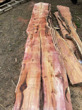Load image into Gallery viewer, English Yew Waney Edge Boards 40mm thick