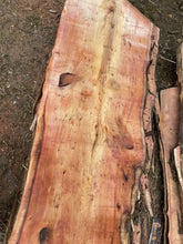 Load image into Gallery viewer, English Yew Waney Edge Boards 40mm thick