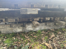 Load image into Gallery viewer, Reclaimed Victorian Yellow Pine Beams, 13.5”X13.5”, 16ft Long, 170 Years Old